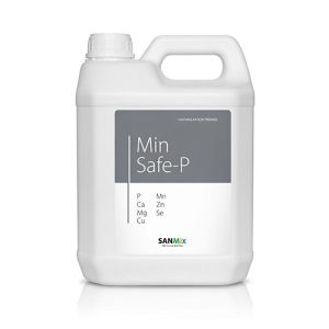 SANMIX MinSafe 2,5 LT