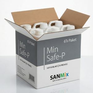 SANMIX MinSafe- 2,5 LT – 6’lı Koli